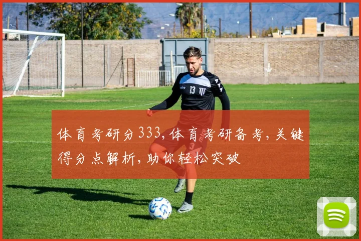 体育考研分333,体育考研备考,关键得分点解析,助你轻松突破