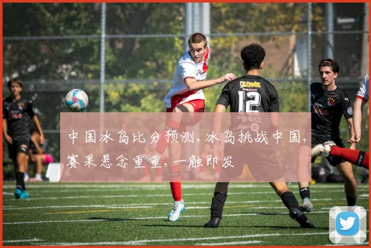 中国冰岛比分预测,冰岛挑战中国,赛果悬念重重,一触即发