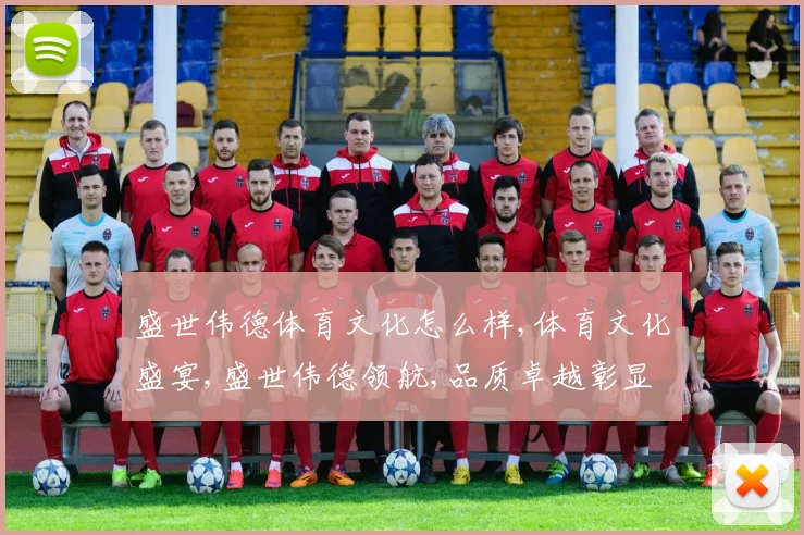 盛世伟德体育文化怎么样,体育文化盛宴,盛世伟德领航,品质卓越彰显。