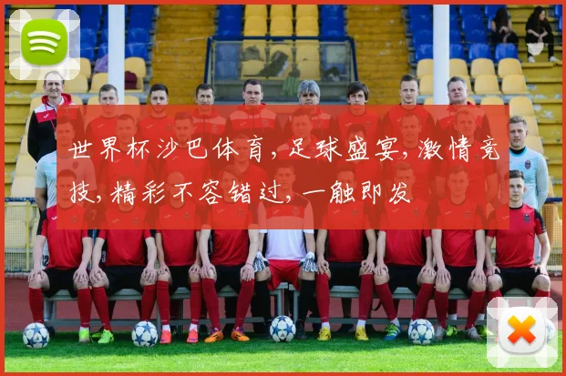 世界杯沙巴体育,足球盛宴,激情竞技,精彩不容错过,一触即发